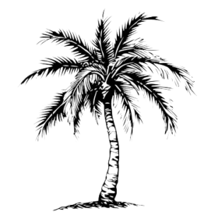 palm tree
